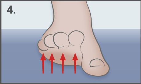 The second to fifth toe extension