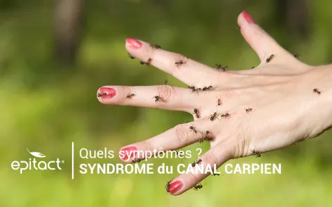 Syndrome Canal Carpien - Symptomes